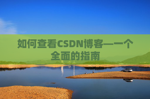 如何查看CSDN博客—一个全面的指南